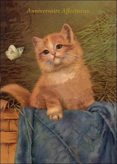 Cartes postales Anniversaire et Animaux : Carte ancienne - Petit chat roux