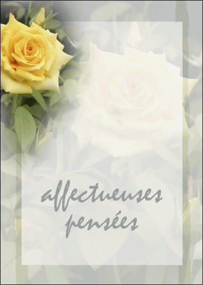 Cartes postales de Condoléances Animaux et Nature : Rose jaune