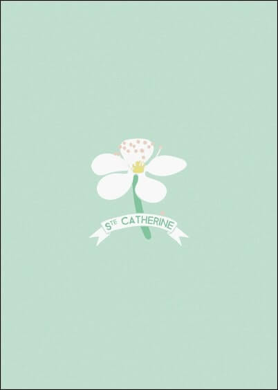Cartes postales Ste Catherine : Fleur blanche
