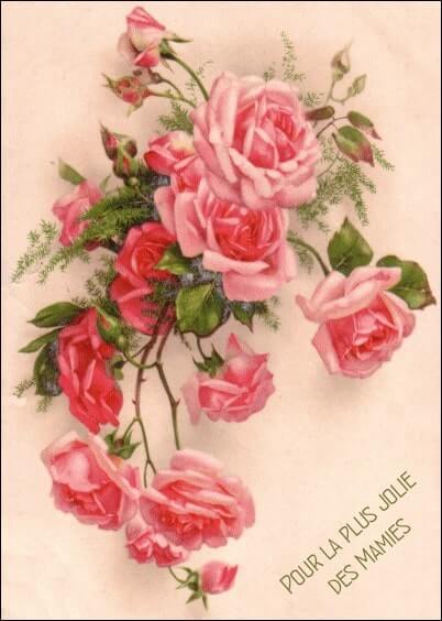 Cartes postales Fête des grand-mères : Carte ancienne - Roses