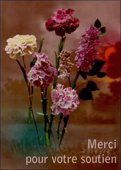 Cartes postales Remerciements de condoléances : Carte ancienne Fleurs - Merci pour votre soutien