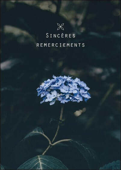 Cartes postales Remerciements de condoléances : Fleurs bleues - Sincères remerciements