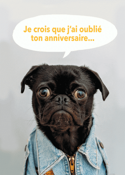 Cartes Postales En Ligne Anniversaire Animaux