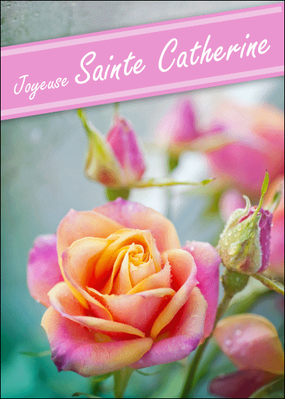 Cartes Postales En Ligne Bonne Fete