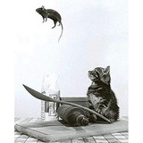 Posters Chats Et Chatons Deco Animaux