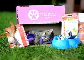 Miaoubox : la box (boîte-cadeau) pour chats